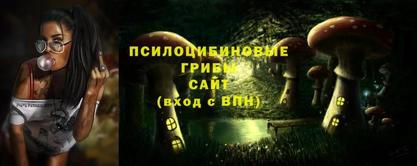 спиды Медногорск
