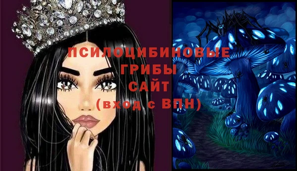 мет Санкт-Петербург