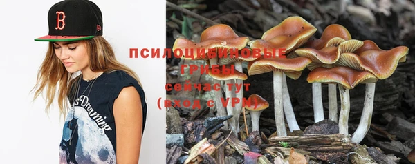 спиды Медногорск
