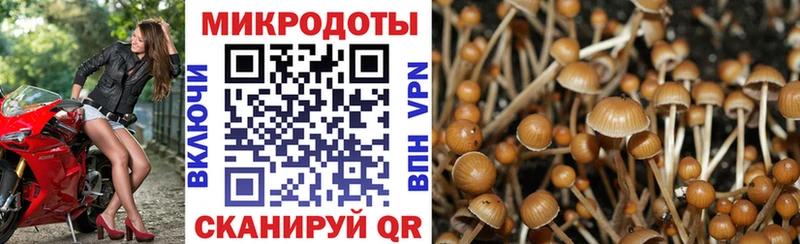 Псилоцибиновые грибы прущие грибы  Кисловодск 