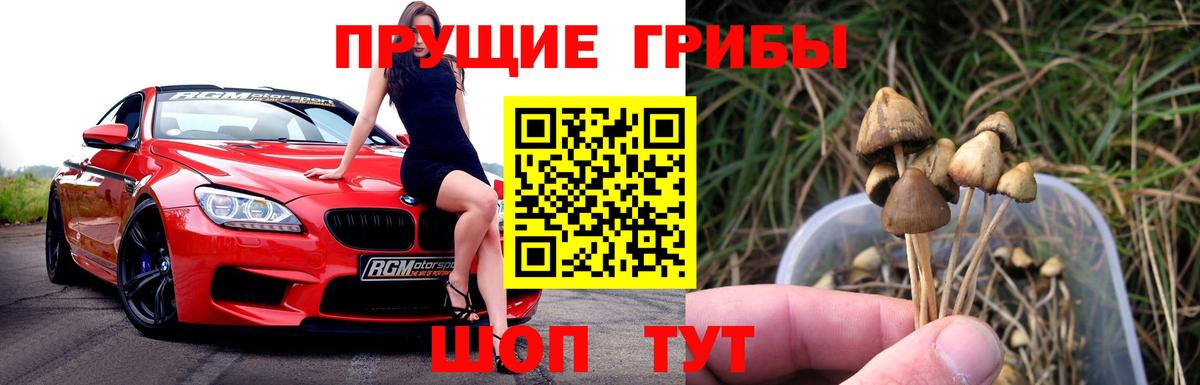 Галлюциногенные грибы прущие грибы  Галлюциногенные грибы Magic Shrooms  Кисловодск  где продают наркотики  Вход с VPN 